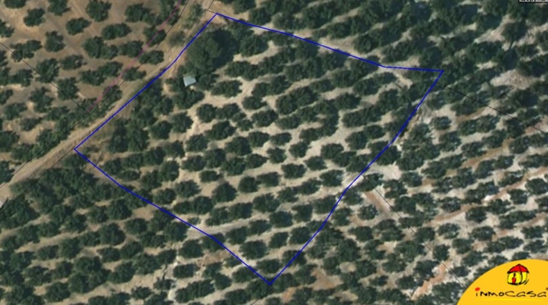 Jaén - Alcalá la Real - 11151m2