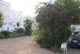 Vejer de la Frontera 125&nbsp;m² 