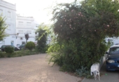Sòl urbà en venda a Vejer de la Frontera ref.: TR385727 foto