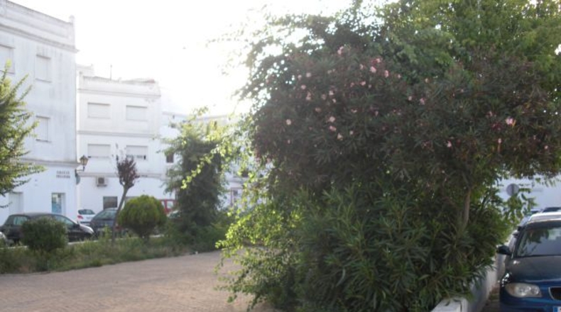 Cádiz - Vejer de la Frontera - 125m2
