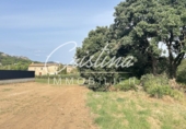 Sòl urbà en venda a Santa Cristina d'Aro ref.: TR385758 foto