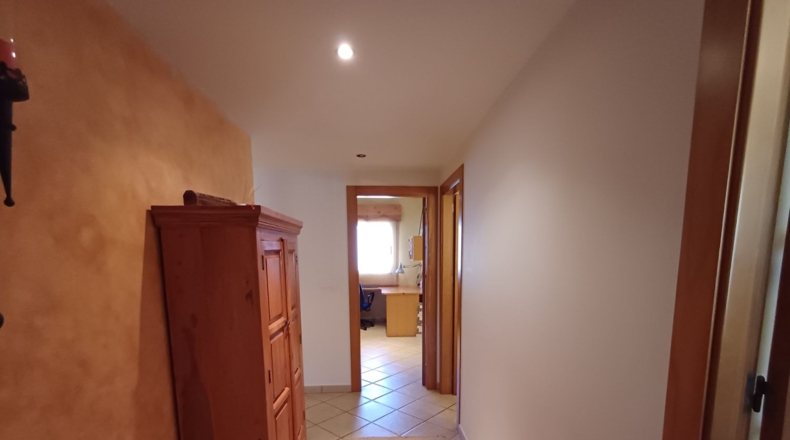 Murcia - Torre-Pacheco - 385m2