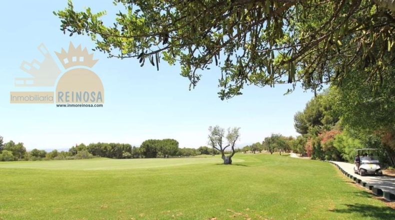 Murcia - Molina de Segura - 803m2