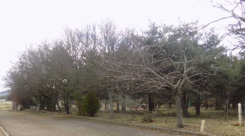 León - Brazuelo - 1235m2