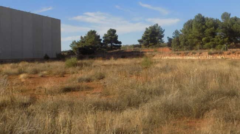 León - Astorga - 1250m2