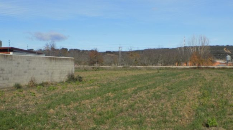 León - Nistal - 1623m2