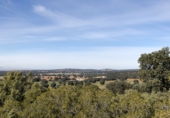 Terreny no urbanitzable en venda a Albacete ref.: TR385817 foto
