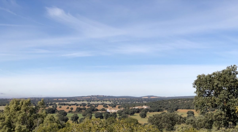 Albacete - Villarrobledo - 1388m2