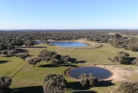 Ahigal 2900000&nbsp;m² 
