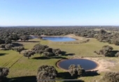 Non-developable land for sale in Ahigal ref: TR385334 photo