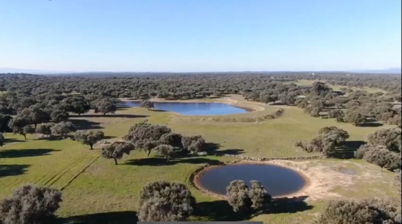 Caceres - Oliva de Plasencia - 2900000m2