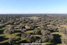 Ahigal 2900000&nbsp;m² 