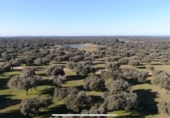 Non-developable land for sale in Ahigal ref: TR385334 photo
