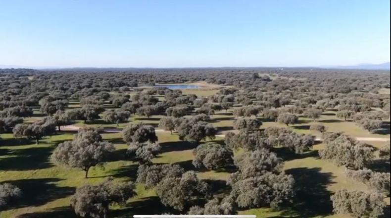 Caceres - Oliva de Plasencia - 2900000m2