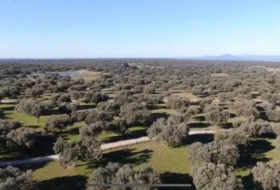 Ahigal 2900000&nbsp;m² 