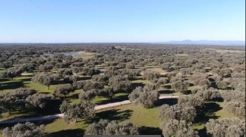 Caceres - Oliva de Plasencia - 2900000m2