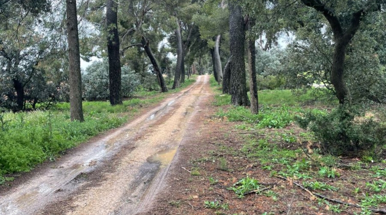 Toledo - Corral de Almaguer - 246m2
