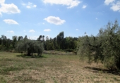 Sòl urbà en venda a Sorbas ref.: TR386173 foto