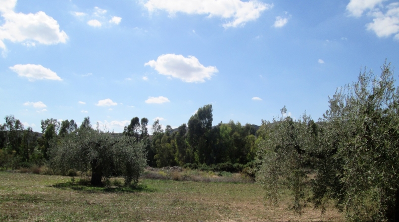 Granada - Cádiar - 2350m2