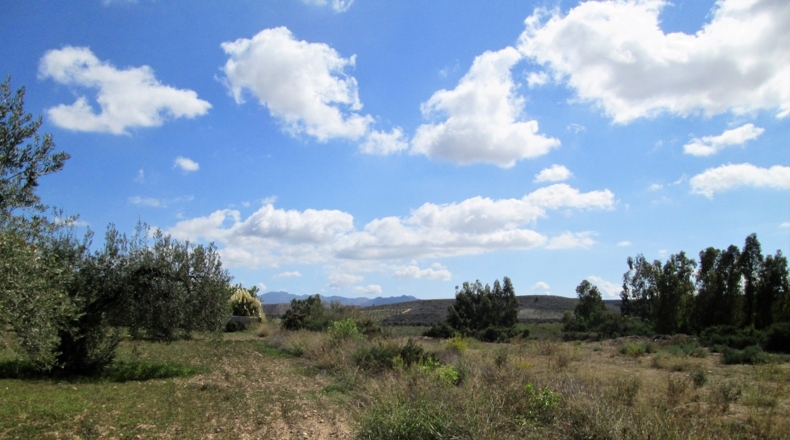 Granada - Cádiar - 2350m2