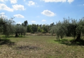 Sòl urbà en venda a Sorbas ref.: TR386173 foto