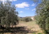 Sòl urbà en venda a Sorbas ref.: TR386173 foto