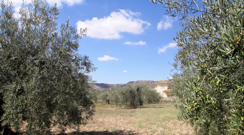Granada - Cádiar - 2350m2