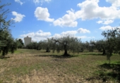 Sòl urbà en venda a Sorbas ref.: TR386173 foto
