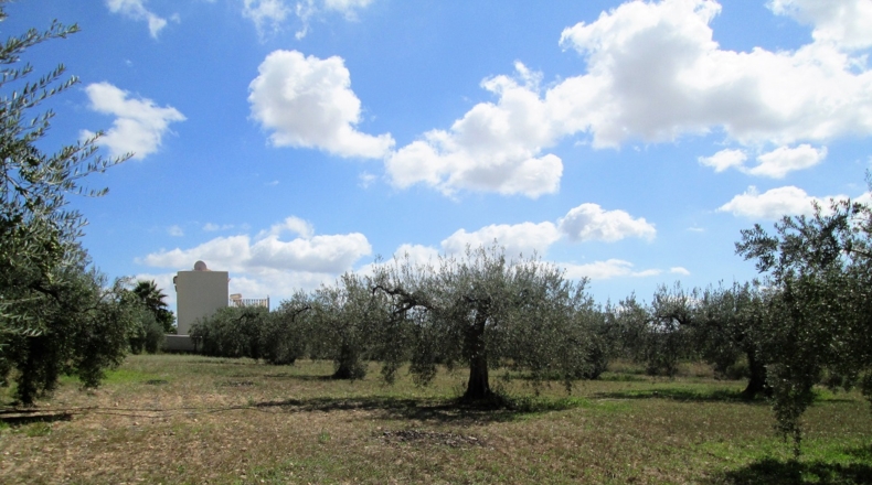 Granada - Cádiar - 2350m2