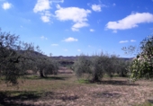 Sòl urbà en venda a Sorbas ref.: TR386173 foto
