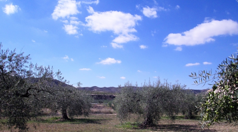 Granada - Cádiar - 2350m2