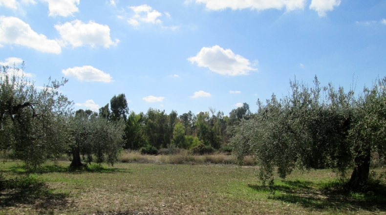 Granada - Cádiar - 2350m2