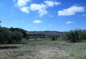 Sòl urbà en venda a Sorbas ref.: TR386173 foto