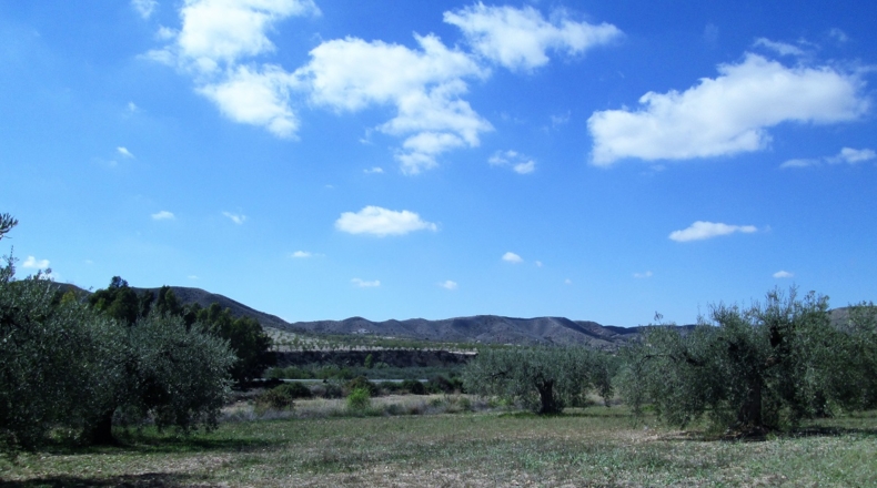 Granada - Cádiar - 2350m2