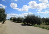 Sòl urbà en venda a Sorbas ref.: TR386173 foto