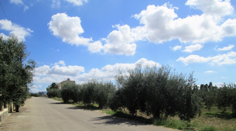 Granada - Cádiar - 2350m2