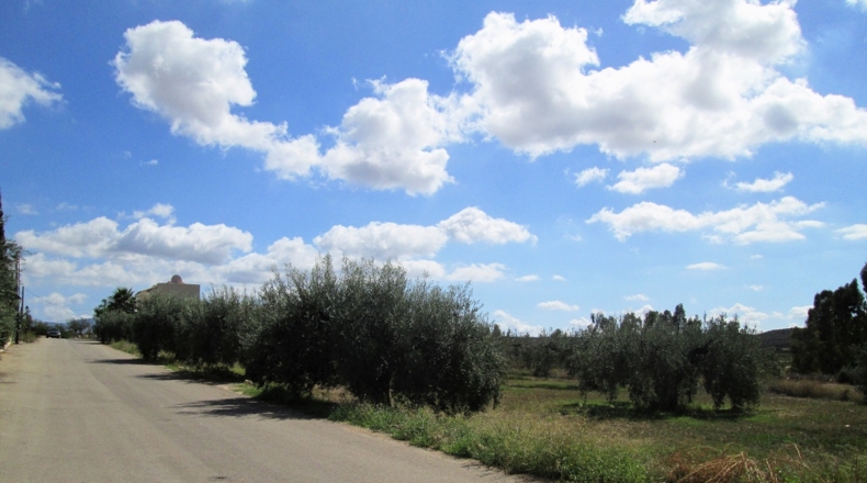 Granada - Cádiar - 2350m2