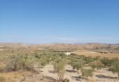 Terreny no urbanitzable en venda a la España, Sorbas, ref.: TR386515 foto