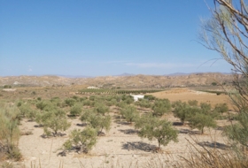 Sorbas 24390&nbsp;м²