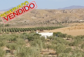 Sorbas 24390&nbsp;м²