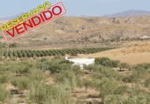 Terreny no urbanitzable en venda a la España, Sorbas, ref.: TR386515 foto