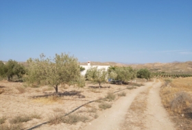 Sorbas 24390&nbsp;м²