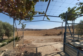 Sorbas 24390&nbsp;м²