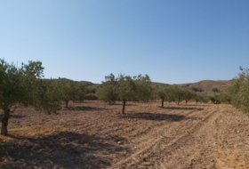 Sorbas 24390&nbsp;м²