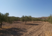 Terreny no urbanitzable en venda a la España, Sorbas, ref.: TR386515 foto