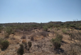 Sorbas 24390&nbsp;м²