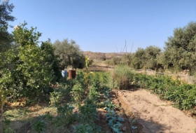 Sorbas 24390&nbsp;м²