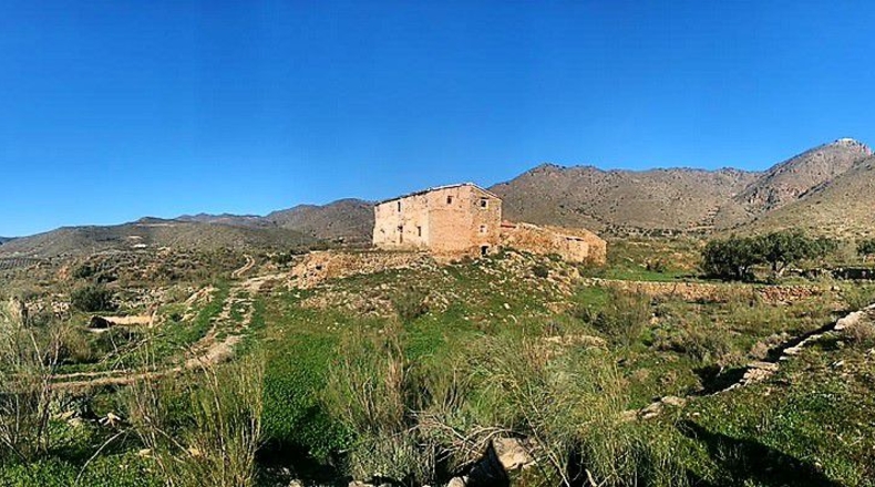 Almería - Uleila del Campo - 250000m2