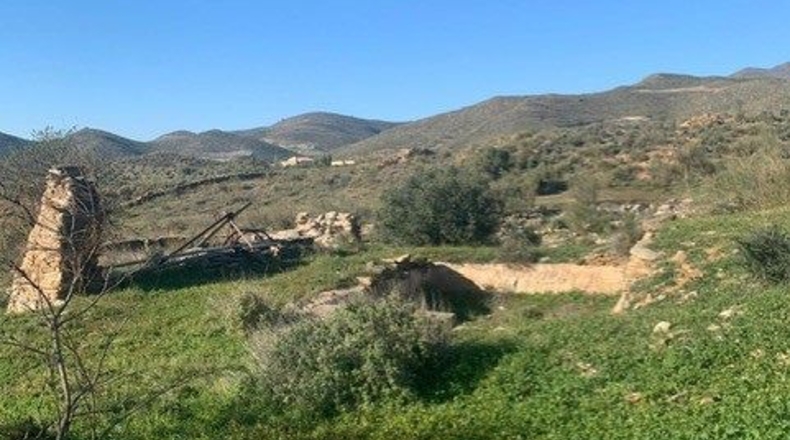 Almería - Uleila del Campo - 250000m2
