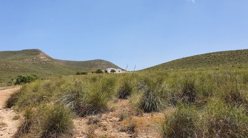 Almería - Cabo de Gata - 5000m2